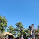 노랑제주 이미지