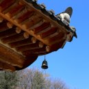 서일농장 이미지