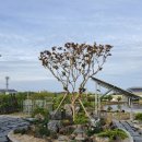 황금알 공인중개사사무소 이미지