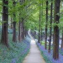 문화목장 이미지