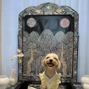 라우프독 이미지