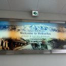 2189 | [대한항공 KE2189편, KE2190편] 인천-고마쓰 (A321-neo) 왕복 탑승후기 /기내식&amp;기내와이파이