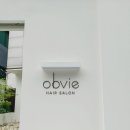 오브비(obvie)
