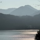 더존비앤씨티(강아지숲)/카페 겨울 | 유스호스텔] 예약 꿀팁과 비오는 날 아기랑 가족여행 후기 (캐빈룸/수영장/바베큐)그리고 도원가든 🥘