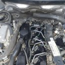 딥모터스 이미지