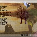 그대는 나의 인생/한울타리(최진희/허영래 1983年) 이미지