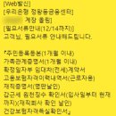 [중기청 전세사기] 이제야 담아보는 전세 사고 이야기 중소기업청년대출 아파트 100%