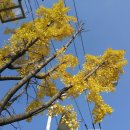 푸른하늘공인중개사사무소 이미지