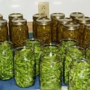 용인대 자양복싱 이미지