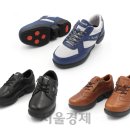 베체