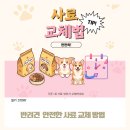 아떼꼬떼 동물병원 | 노령견 사료 바꾸고 설사한다면? 밀키 경험으로 정리한 안전한 사료 변경 방법