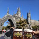 팬더랜드 | 베이징 유니버셜 스튜디오 방문기 | 해리포터부터 쿵푸팬더까지 완벽 가이드