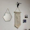 젠틀리하우스 | 제주 구좌읍, 월정리 게스트하우스 [젠틀리 하우스]