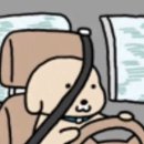 (주)지지엔터테인먼트 | 당일치기 무척 가능한 통영 여행! 따라오세요