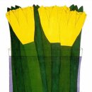 아이리스의원 이미지