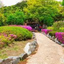 ﻿비밀스러운 대통령의 산책길, 청와대~북악산 숲길 이미지