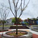 늘푸른고교 옆 이미지