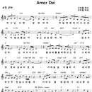 Amor Dei / 하나님 사랑 날 위하여 (구자철) [베를린 선한목자교회 이강윤] 이미지