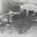 공도3로 이미지