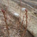 이헌농장 이미지