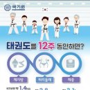 온리원 태권도 이미지