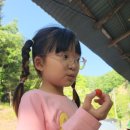 포동이농장 이미지