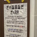 워킹홀리데이 | 워킹홀리데이 내돈내산 후기