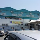 충남 서천 마량항