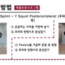 SCI 메디컬 이미지