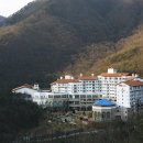 문경축산농협약돌한우프라자 이미지