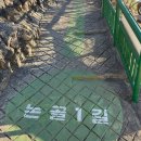 등대오름길펜션 | 묵호여행 무코야선물가게-등대쉼터-등대그집 소품샵 논골담길 당일치기 뚜벅이 코스