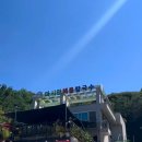 J5989 | 을왕리칼국수맛집/낙지한마리가통으로/알고보면보쌈맛집/마시안해물칼국수