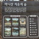 마니산(기도원) | 강화도 마니산 계단코스, 직접 올라가본 후기