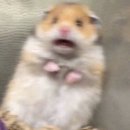드드