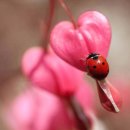 인생신호등 이미지