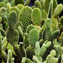 공감심리상담. 행정사. 인력사무소 이미지