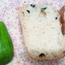 또닭또닭 이미지