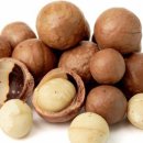 24시 핸즈동물의료센터 이미지