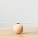 넬 동물의료센터 이미지