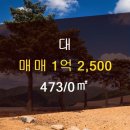 진영부동산공인중개사사무소 이미지