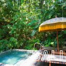 이브닝 스트레칭 요가 | 인도네시아 발리 우붓 숙소 5성급 호텔 카펠라 발리 리조트 조식 스파 액티비티 후기