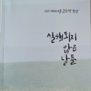 폭탄먼지 벌레의 위력 / 이지우 이미지