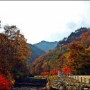 강천산풍경