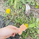 [일상] 4월의 기록