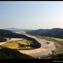 꿈틀거리는 마을 이미지