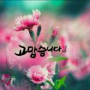 서울언니 Daum카페