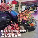 유명비디오 | 뮤직비디오촬영장 조화장식, 메이딘(Madein) DADARIDA 릴레이댄스 플라워조경