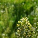 낙원농장4 이미지