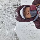 여긴 캐나다 토론토 입니다. 이미지