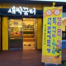 오투스토리 캠핑장 이미지